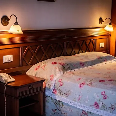 Hotel Pensiunea Casa Nostalgia