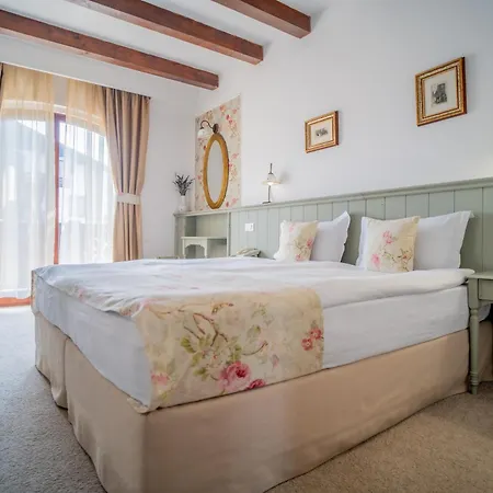 Pensiunea Casa Nostalgia Hotel 4*